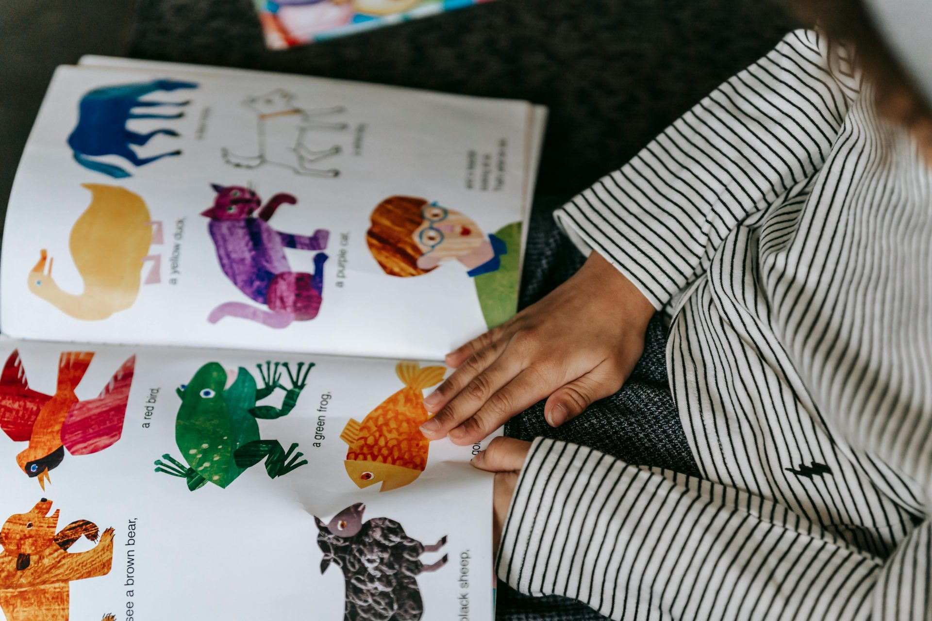 5 Alexandra Libraries