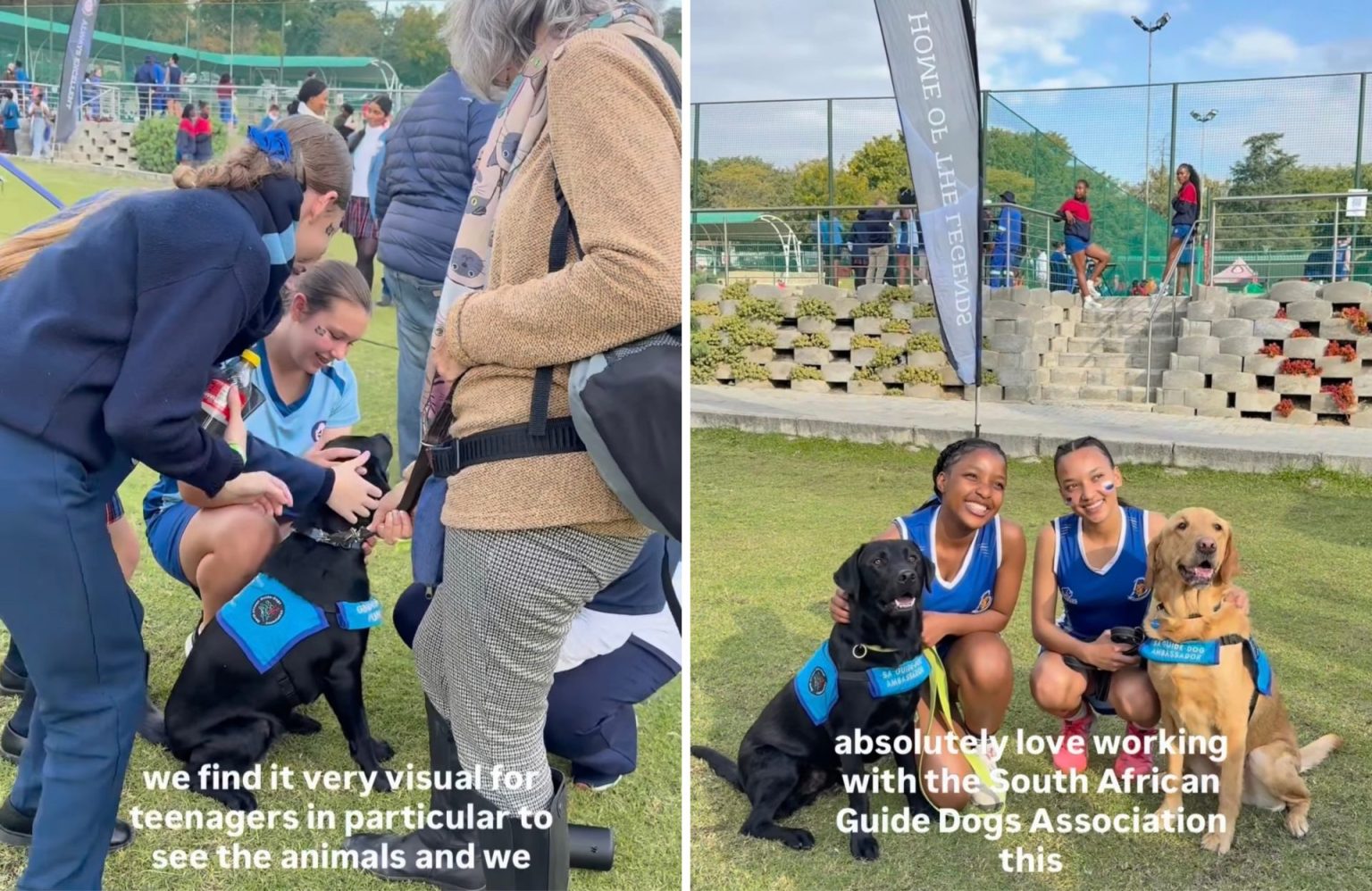 Guy Ritchie Dogs SA Guide Dogs Visit Leaves Lasting Impact on Johannesburg Learners