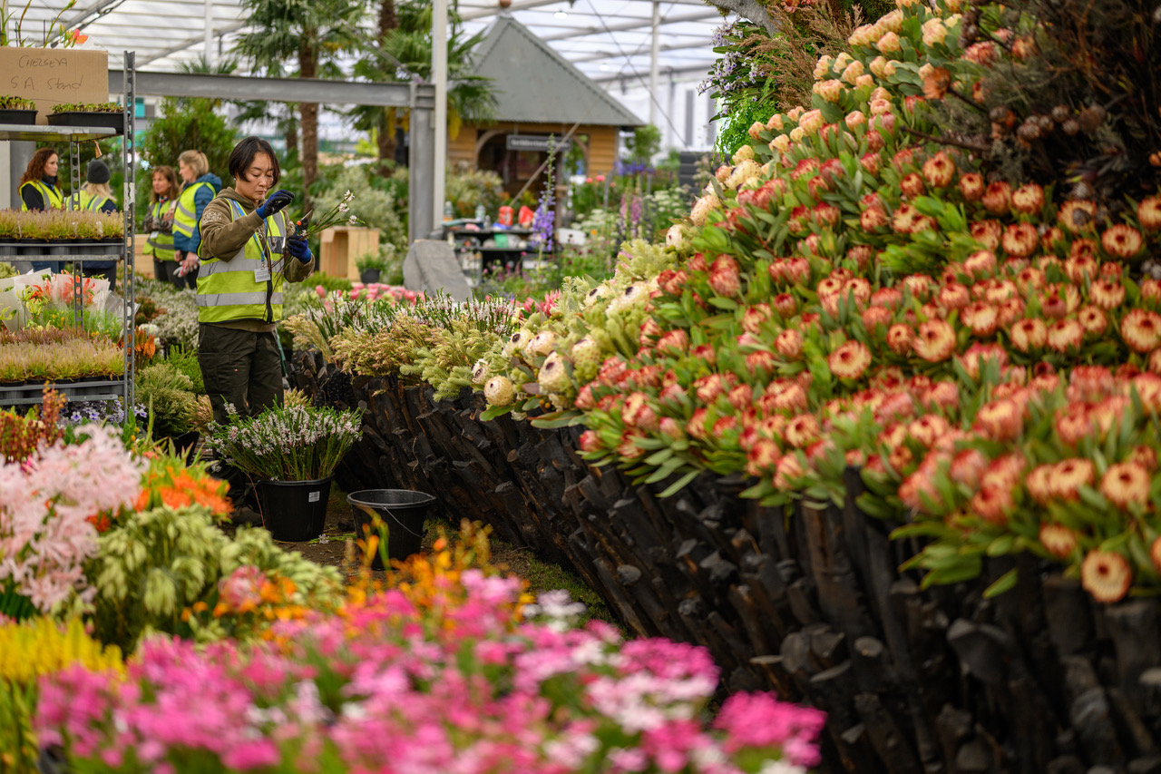 South Africa RHS Chelsea Flower Show