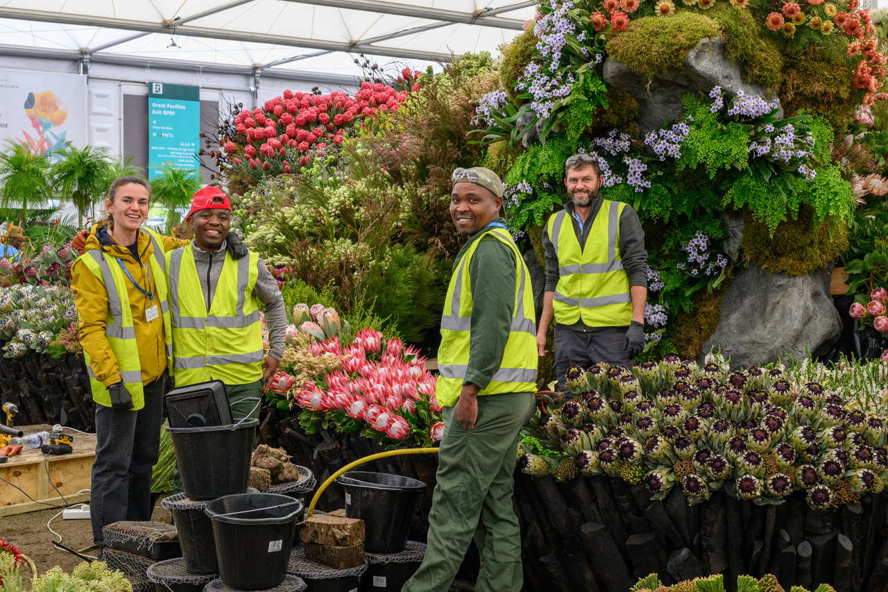 South Africa RHS Chelsea Flower Show