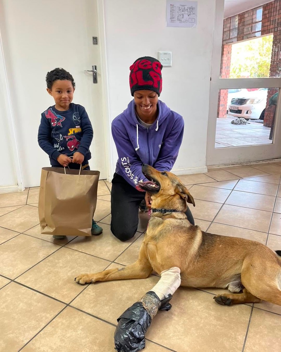 Loving Owner Wheels Injured Doggie to Hospital in a Baby Pram