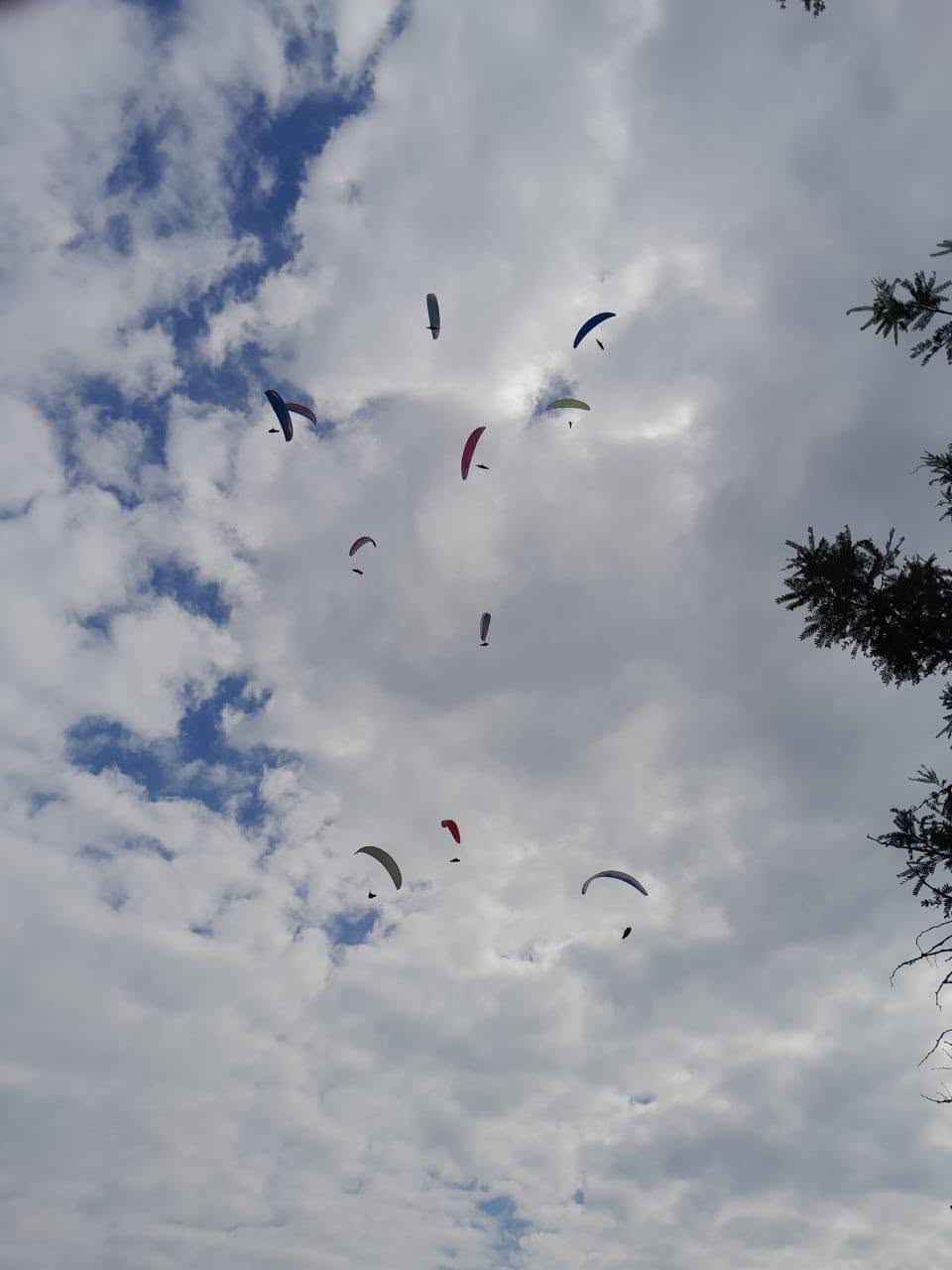 8 Years After a Near-Fatal Crash, Kelvin van Baalen Returns to Barberton Skies