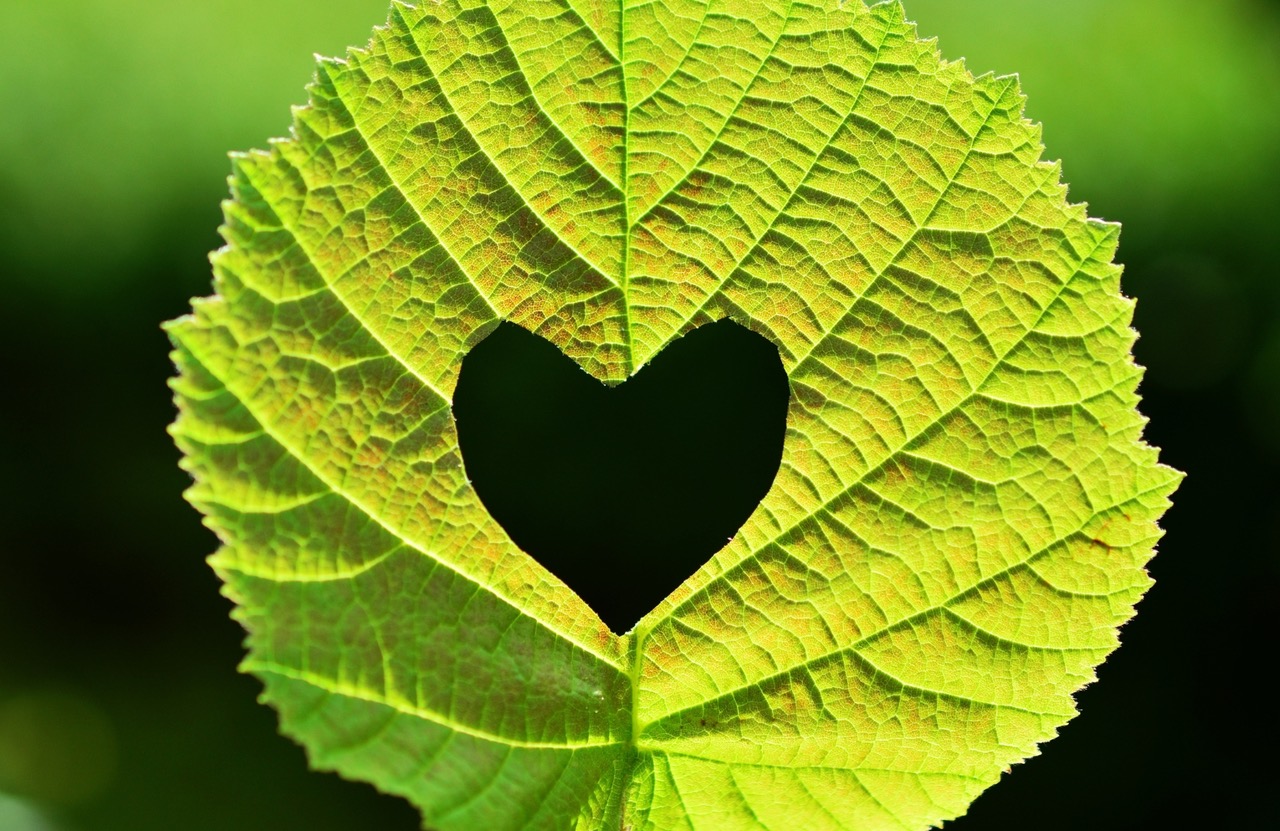 World Environment Day