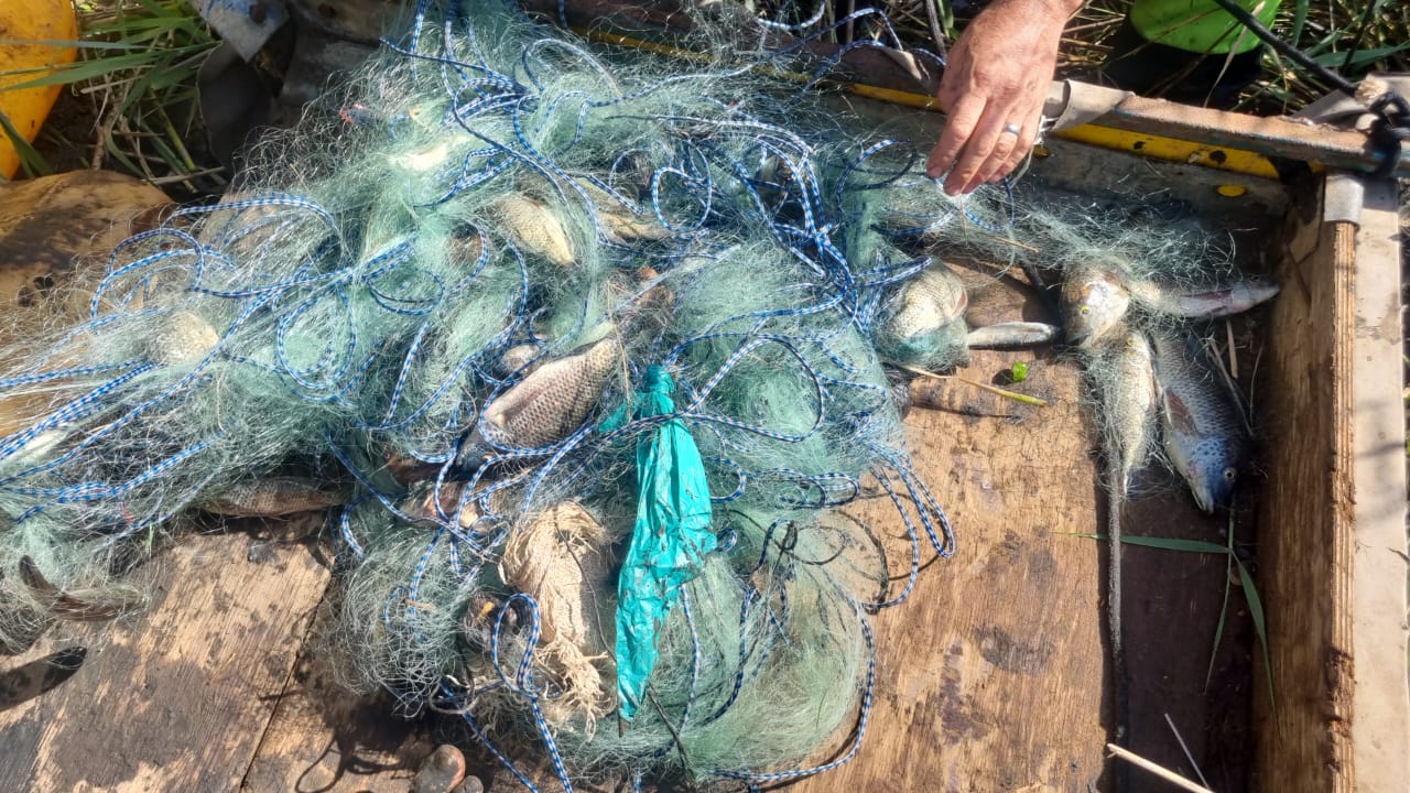 New App Gillnet