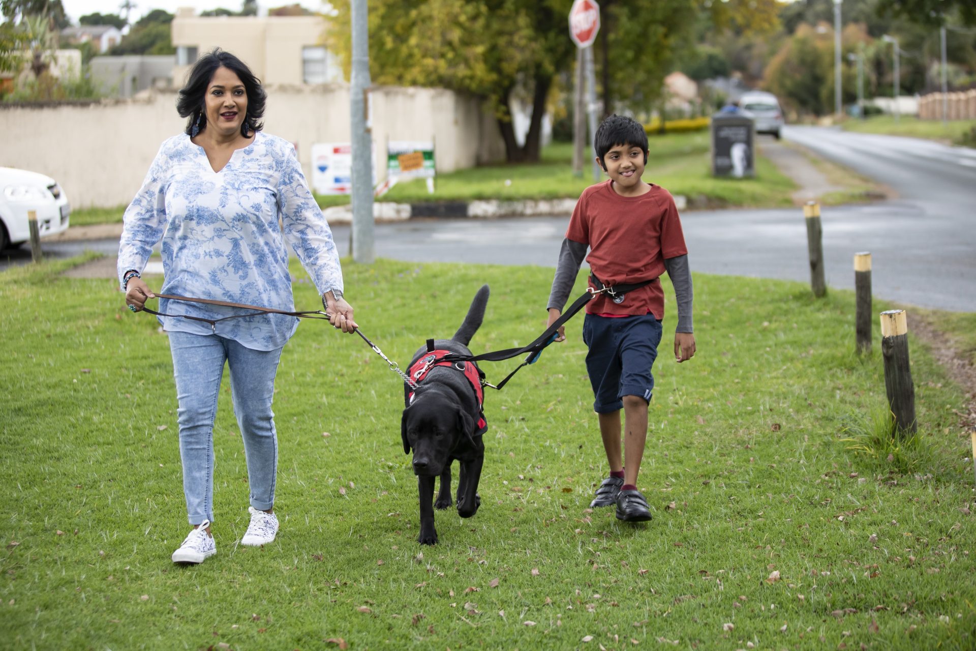Autism Support Dogs