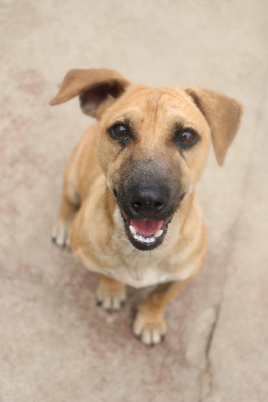 Handsome Hux Finds All the Love After Heartbreaking Neglect