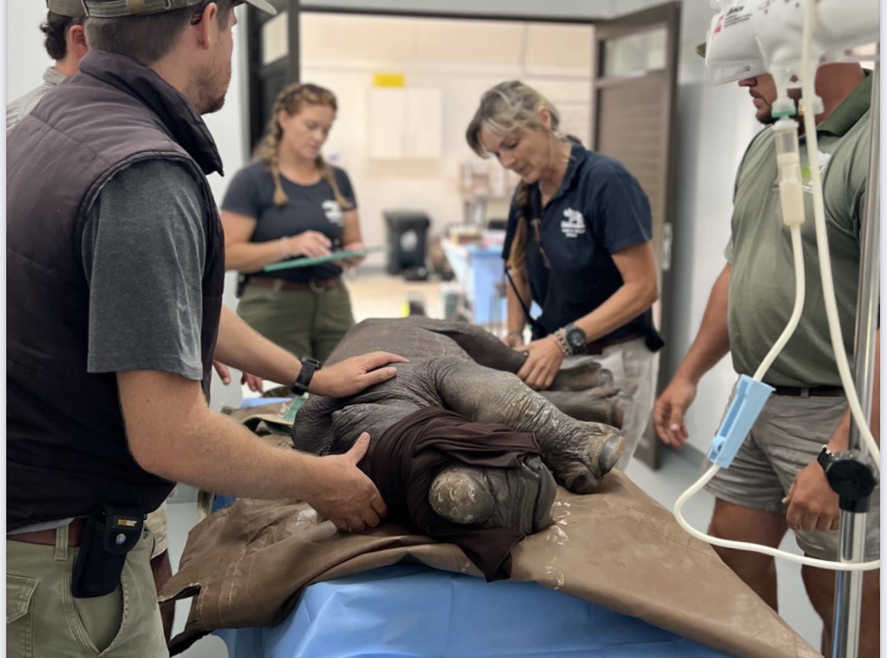 Care for Wild Unveils New State-of-the-Art Rhino and Wildlife Clinic