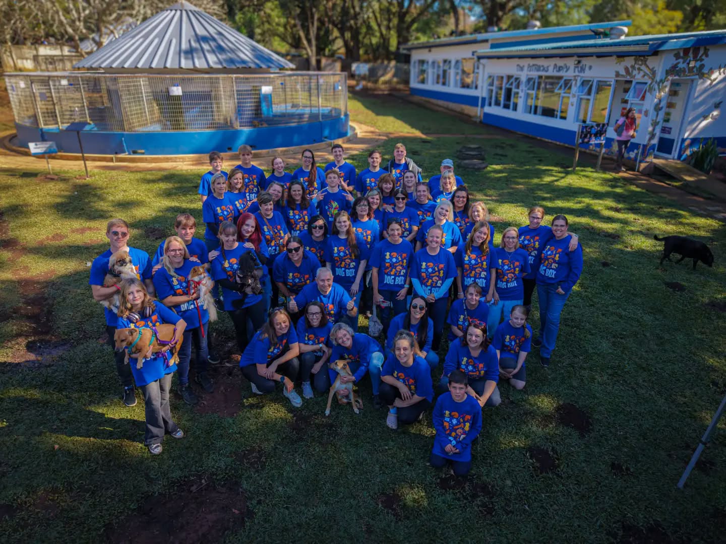 SPCA Dog Box Challenge