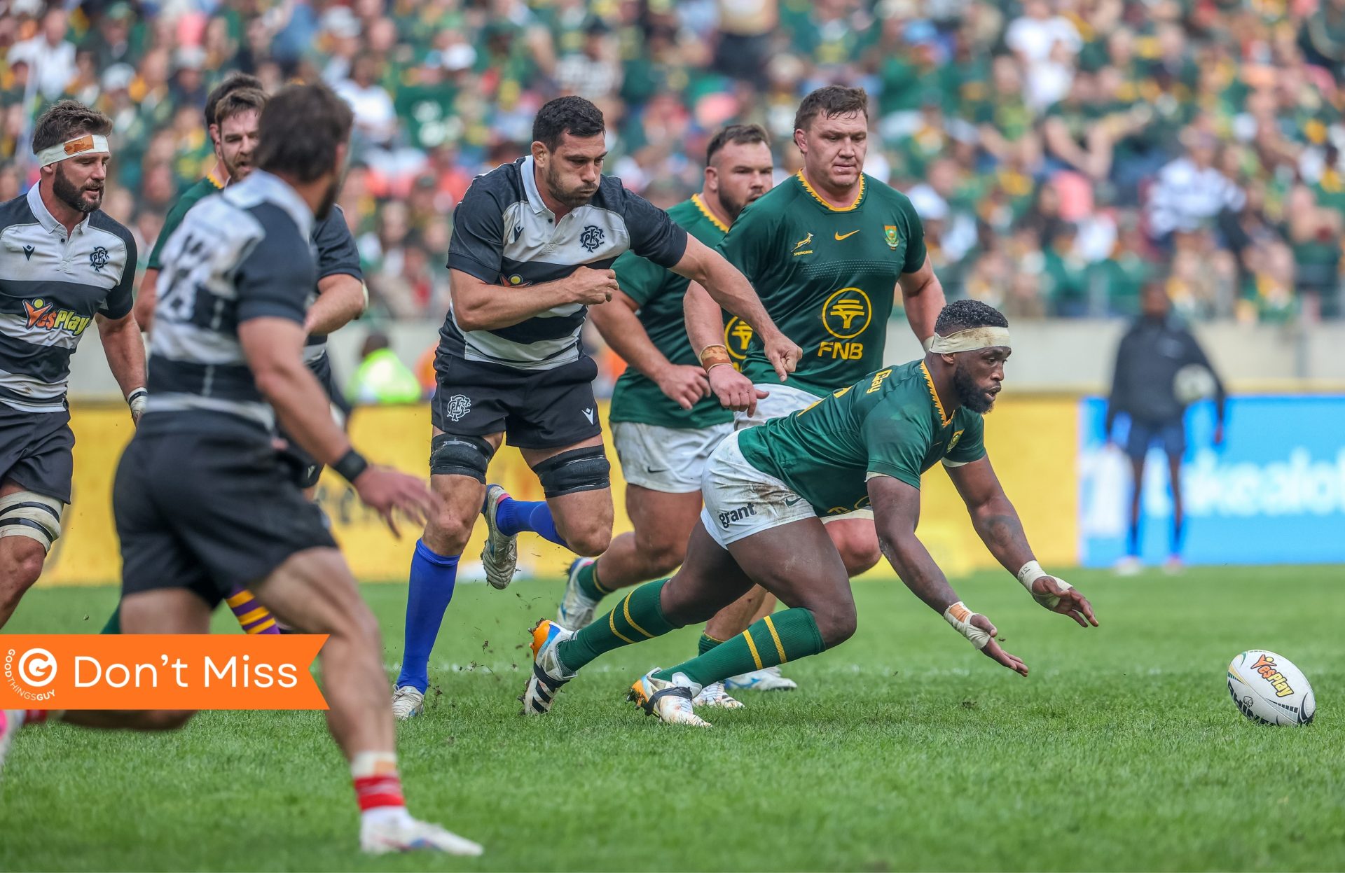 Springboks