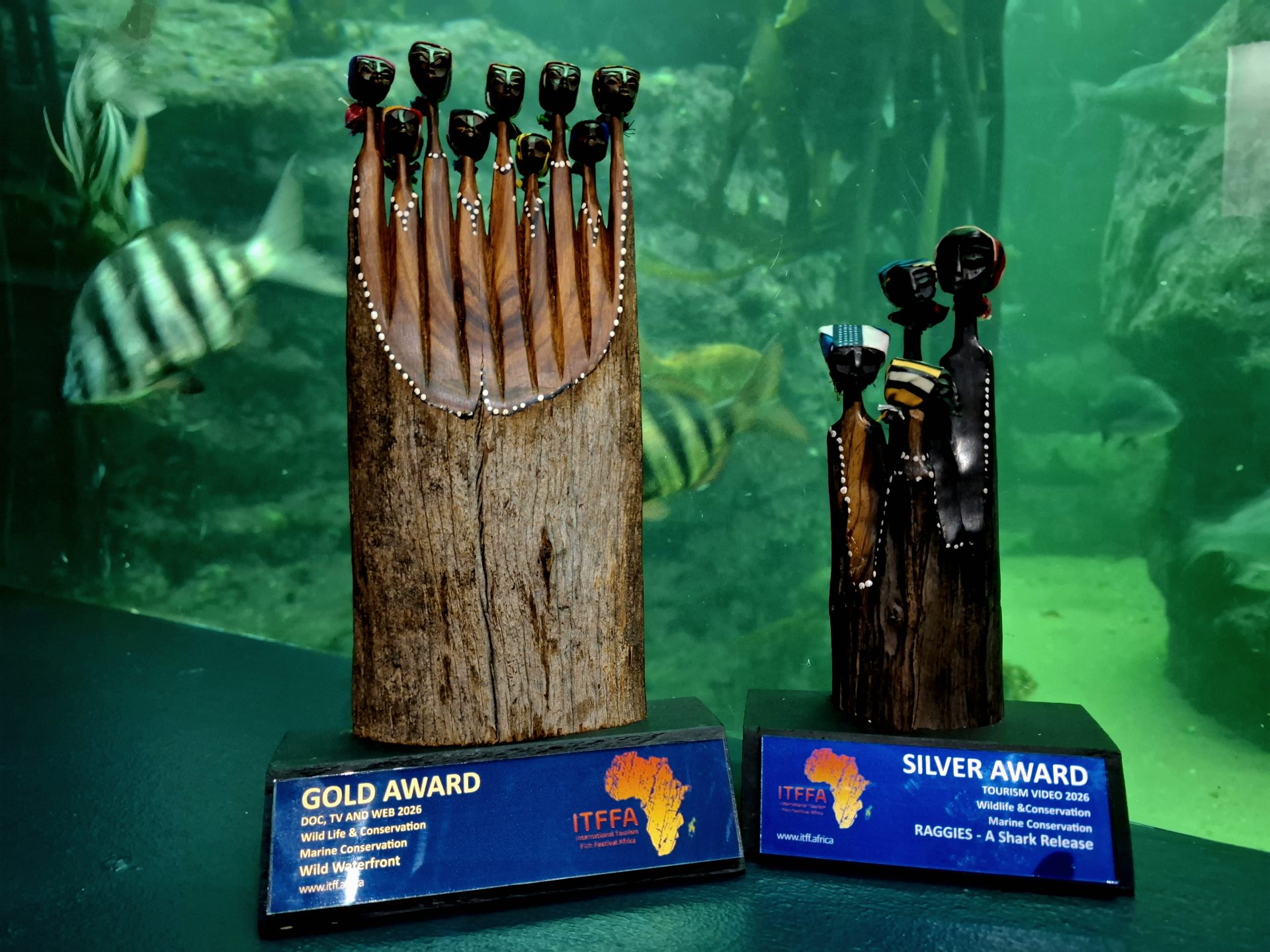 Two powerful South African conservation documentaries have earned international recognition, with the Two Oceans Aquarium Foundation taking home both Gold and Silver awards at the 2026 International Tourism Film Festival Africa.