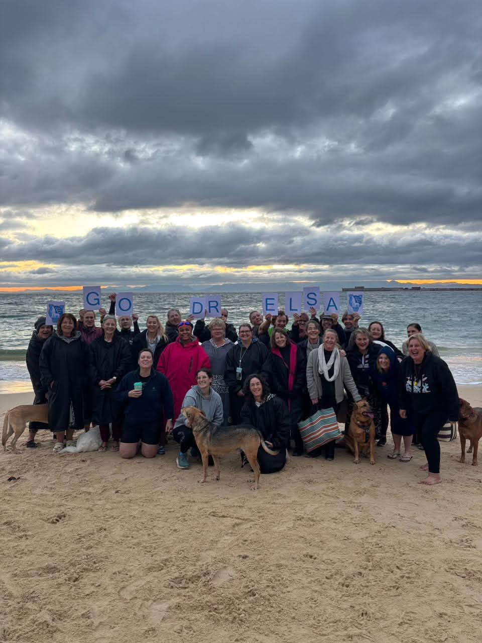 Cluny Breaks Ground on New Isolation Ward for Sick Animals!