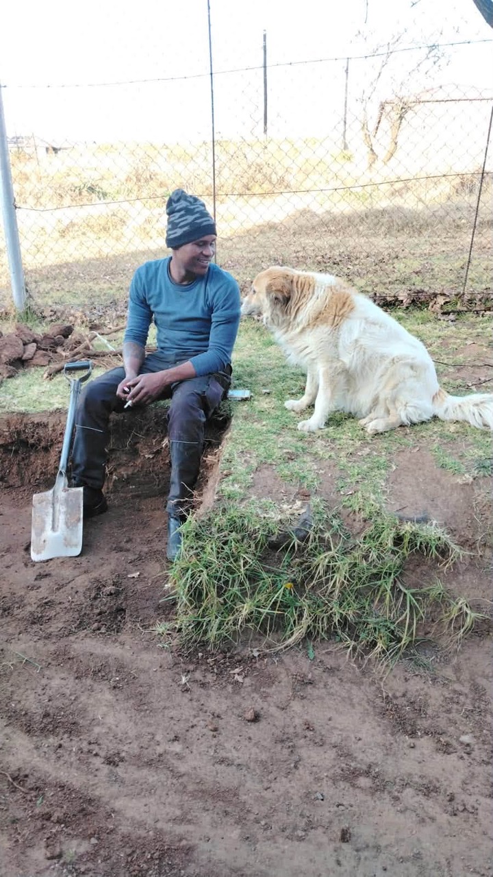 Cluny Breaks Ground on New Isolation Ward for Sick Animals!