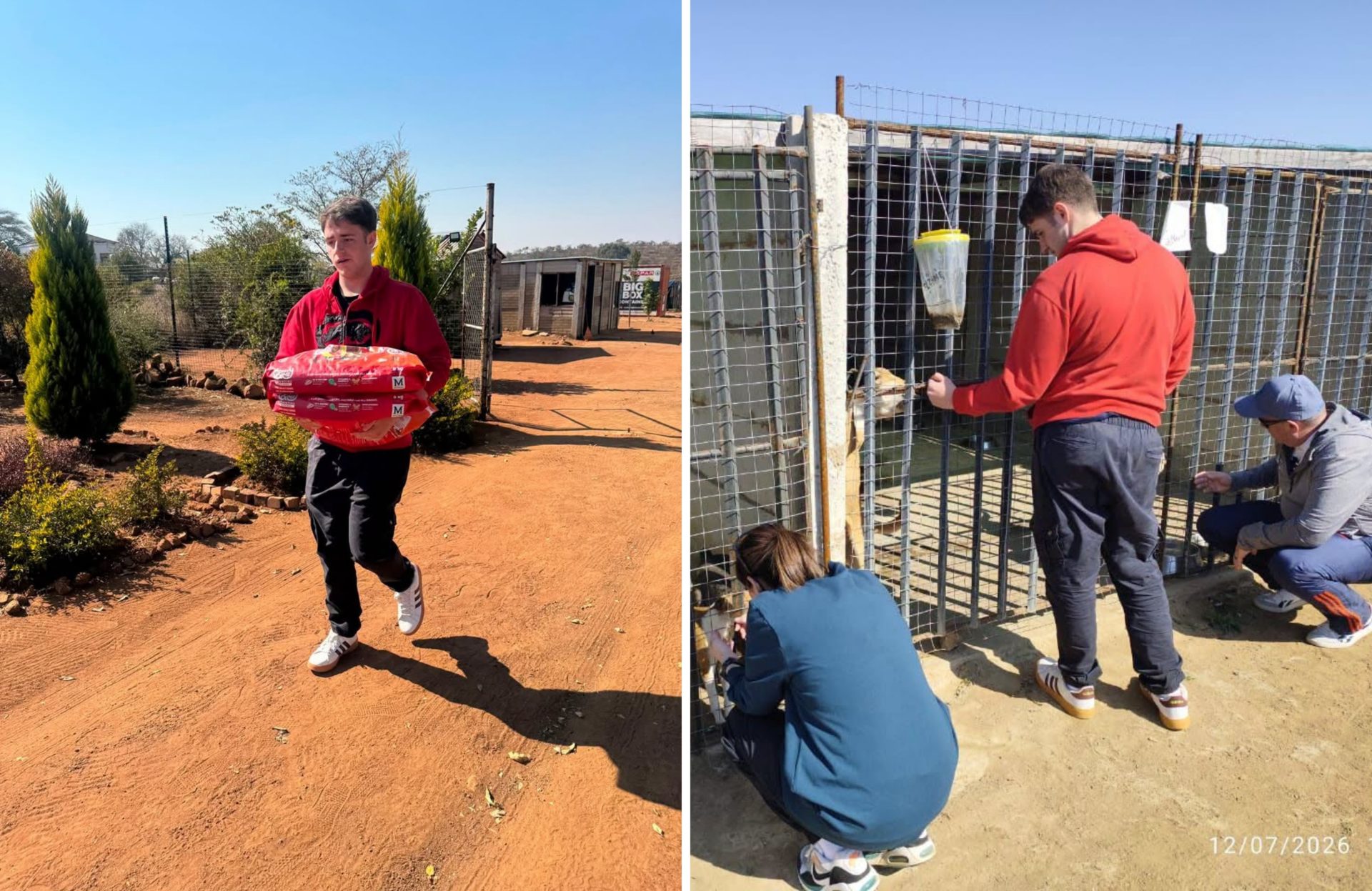 A School Project Turned Into a Beautiful Act of Kindness for Animals and Families