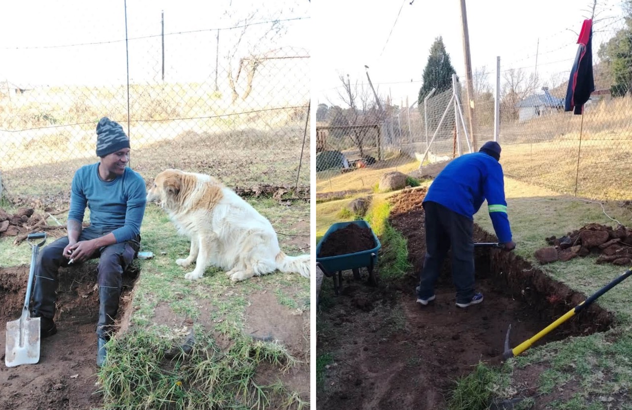 Cluny Breaks Ground on New Isolation Ward for Sick Animals!