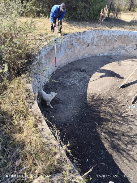 Community Unites to Comfort and Get Help for Dog Trapped in a Pool