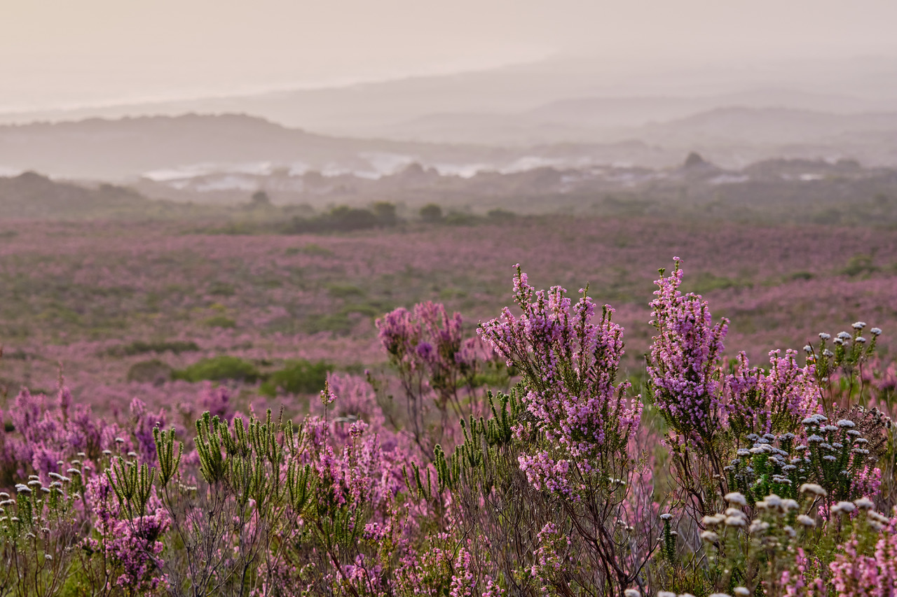 Overberg