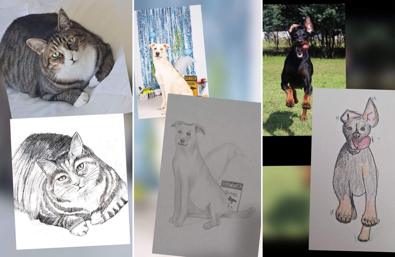 Wonky Pet Portraits