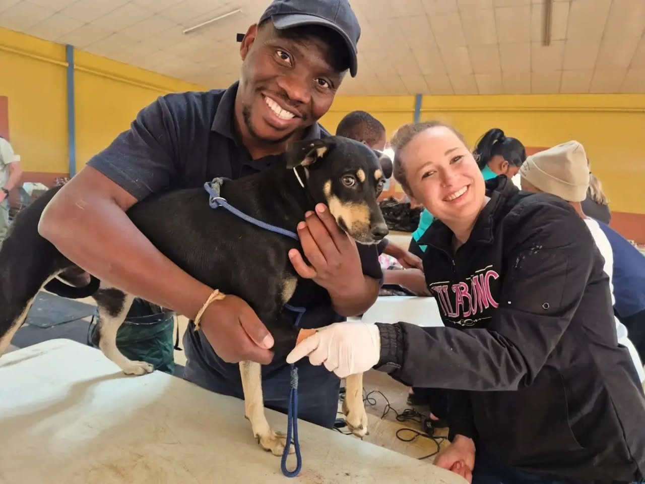 SPCA Sterilisation Clinics