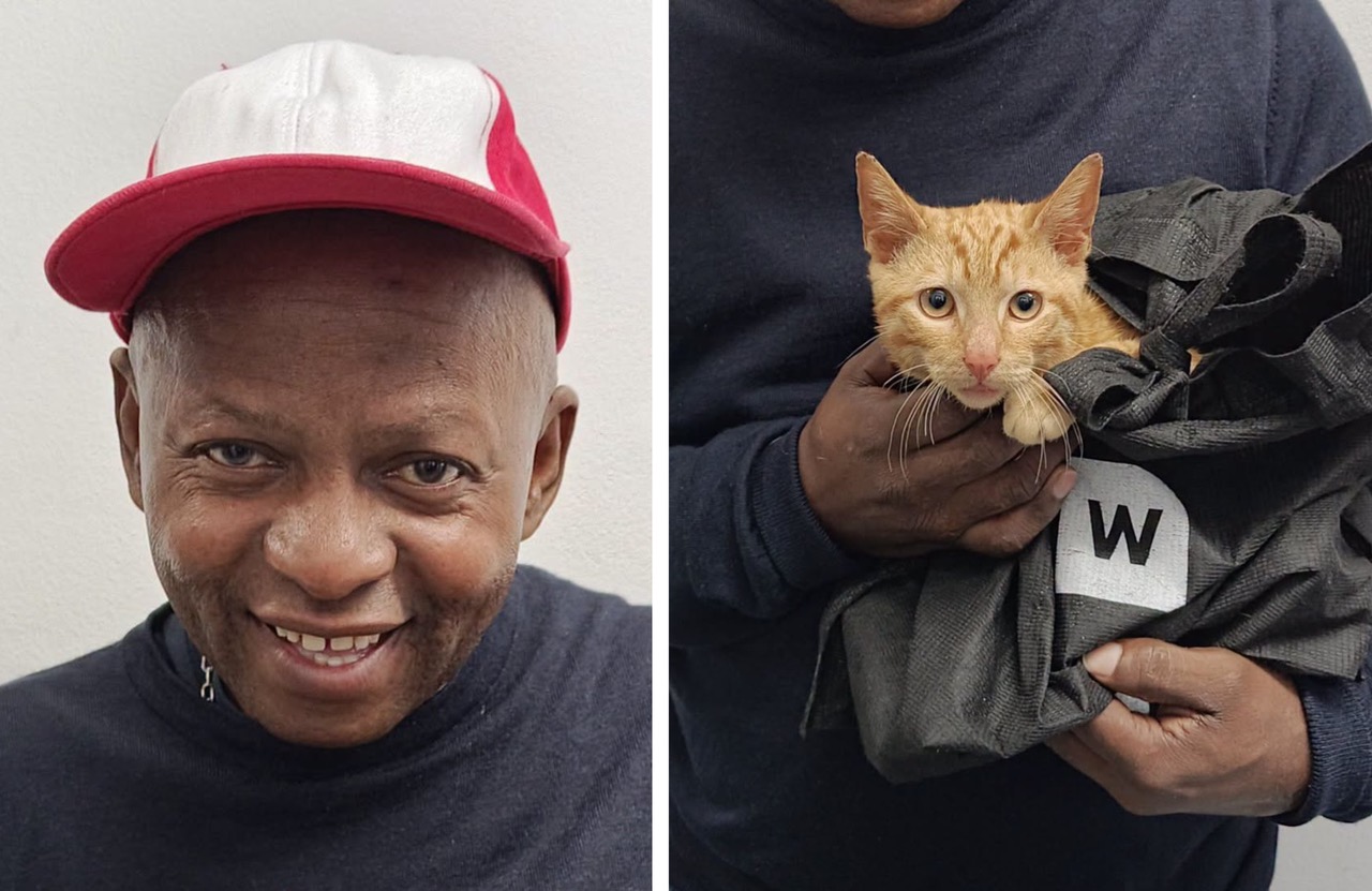 ⁠Woolies Bag Turns Cat Carrier for Mr Boqwana's Ginger Love