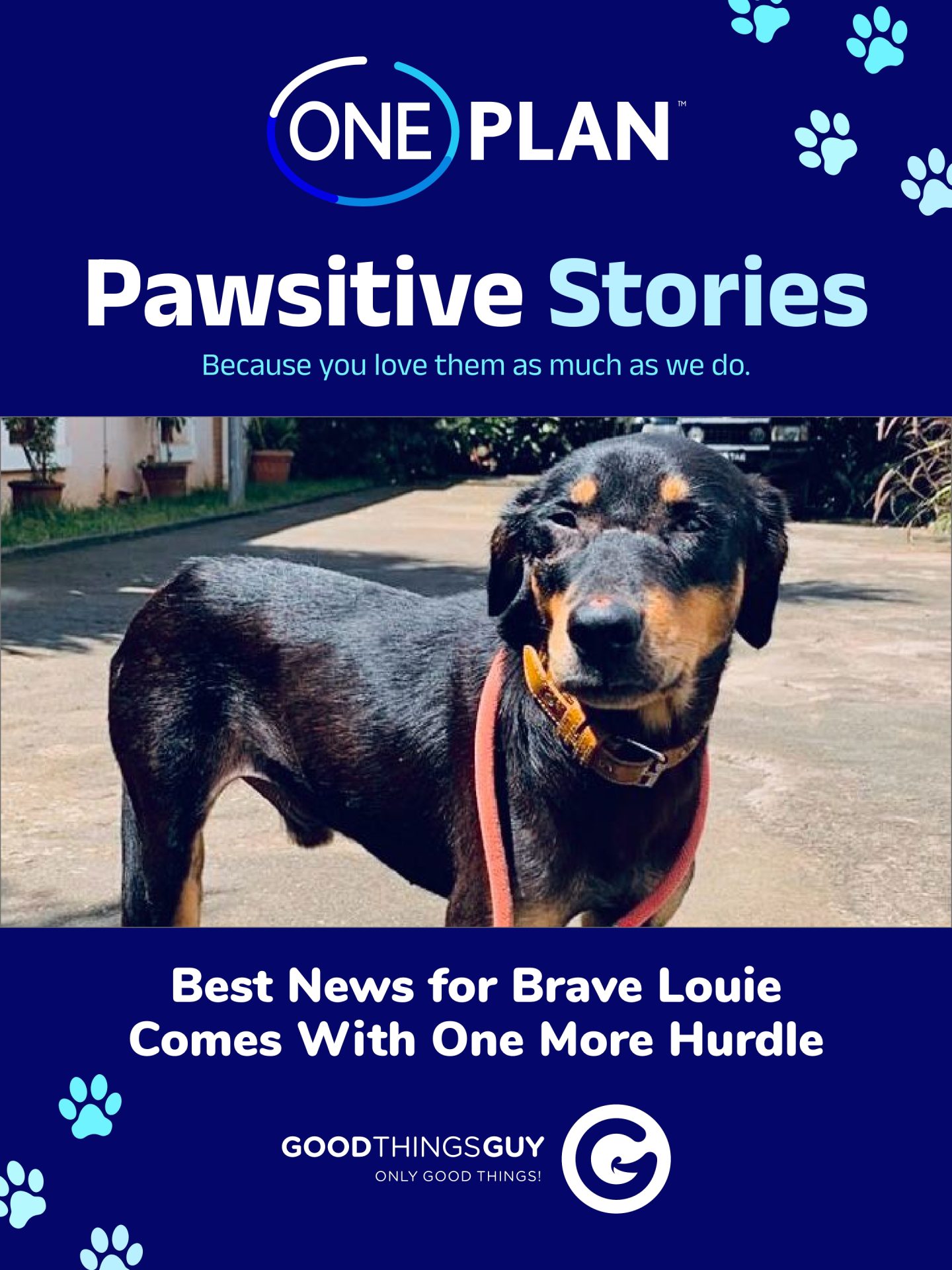 This Week in Good News: Find the Happy, Share the Happy!