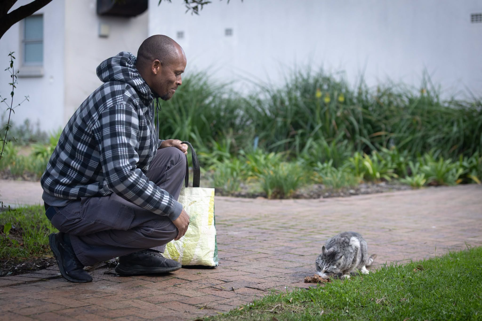 UWC’s 113 Feral Cats