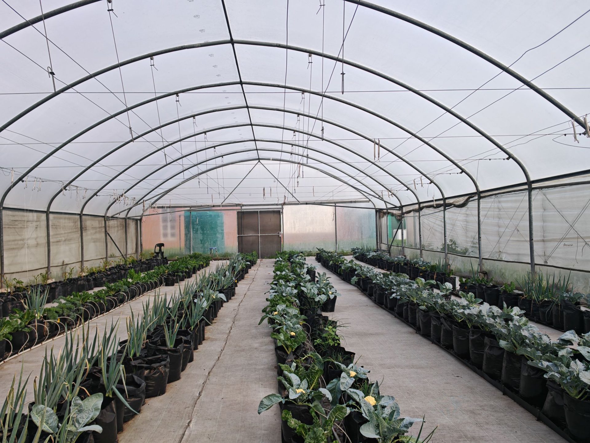 The Solar-Powered School Farm Growing Opportunities and Empowering Caregivers