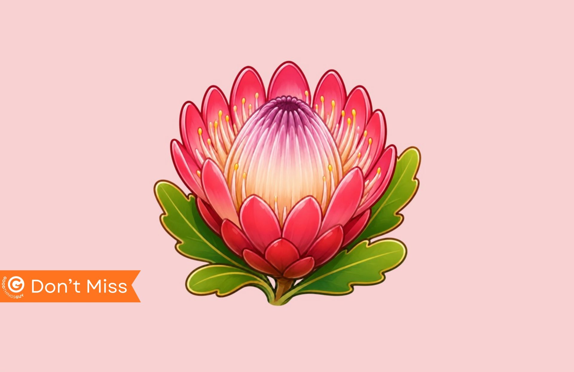 Protea