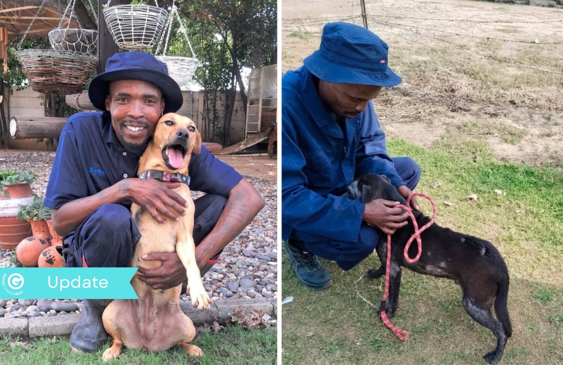 SPCA