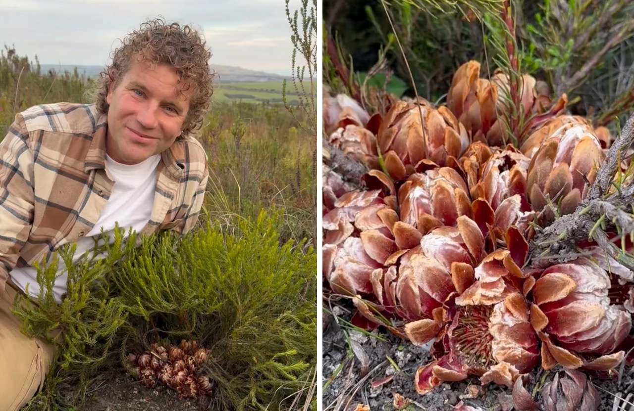 Leon Kluge Shares One of South Africa's Strangest Proteas