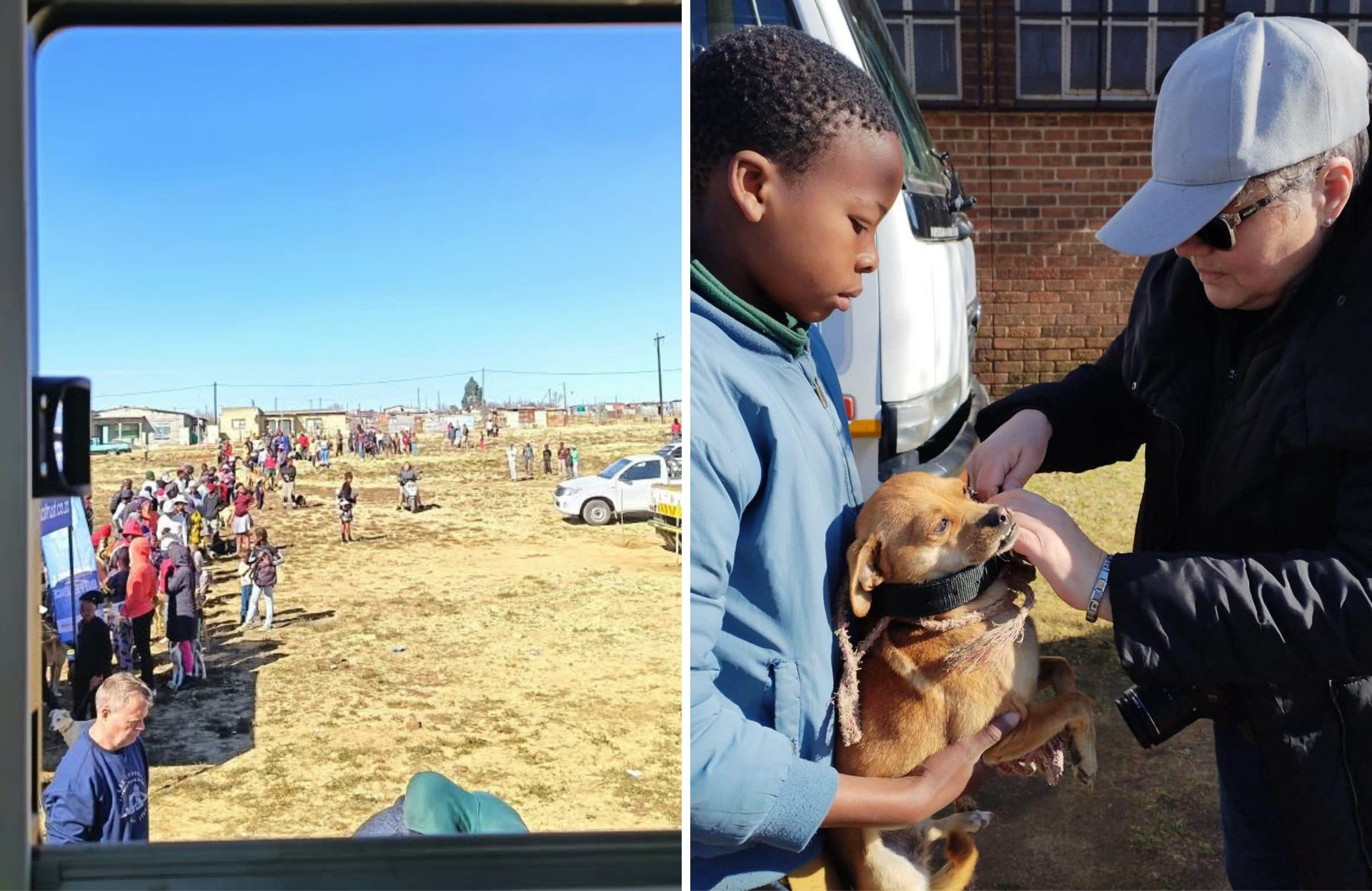 Cluny Animal Trust