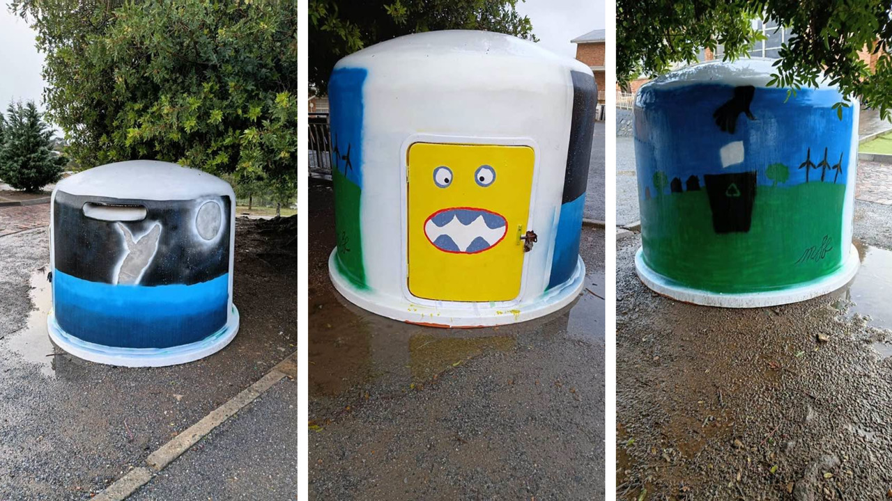 Graeme College Recycling