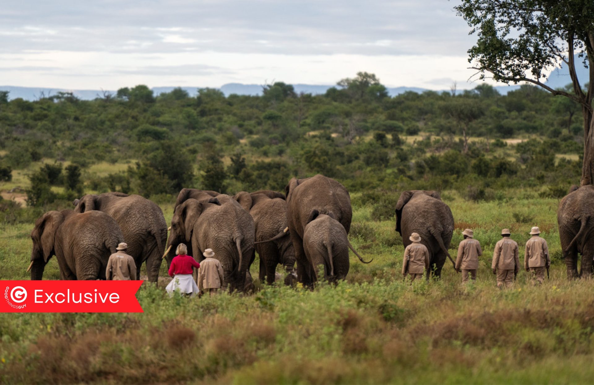 World Elephant Day