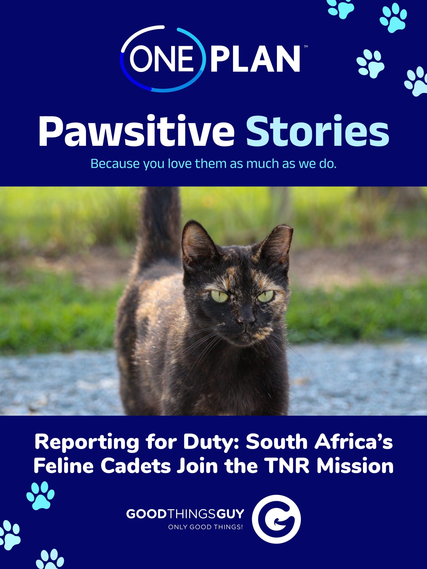 Firefighters to Feline Cadets: Your Saturday Good News Wrap Up