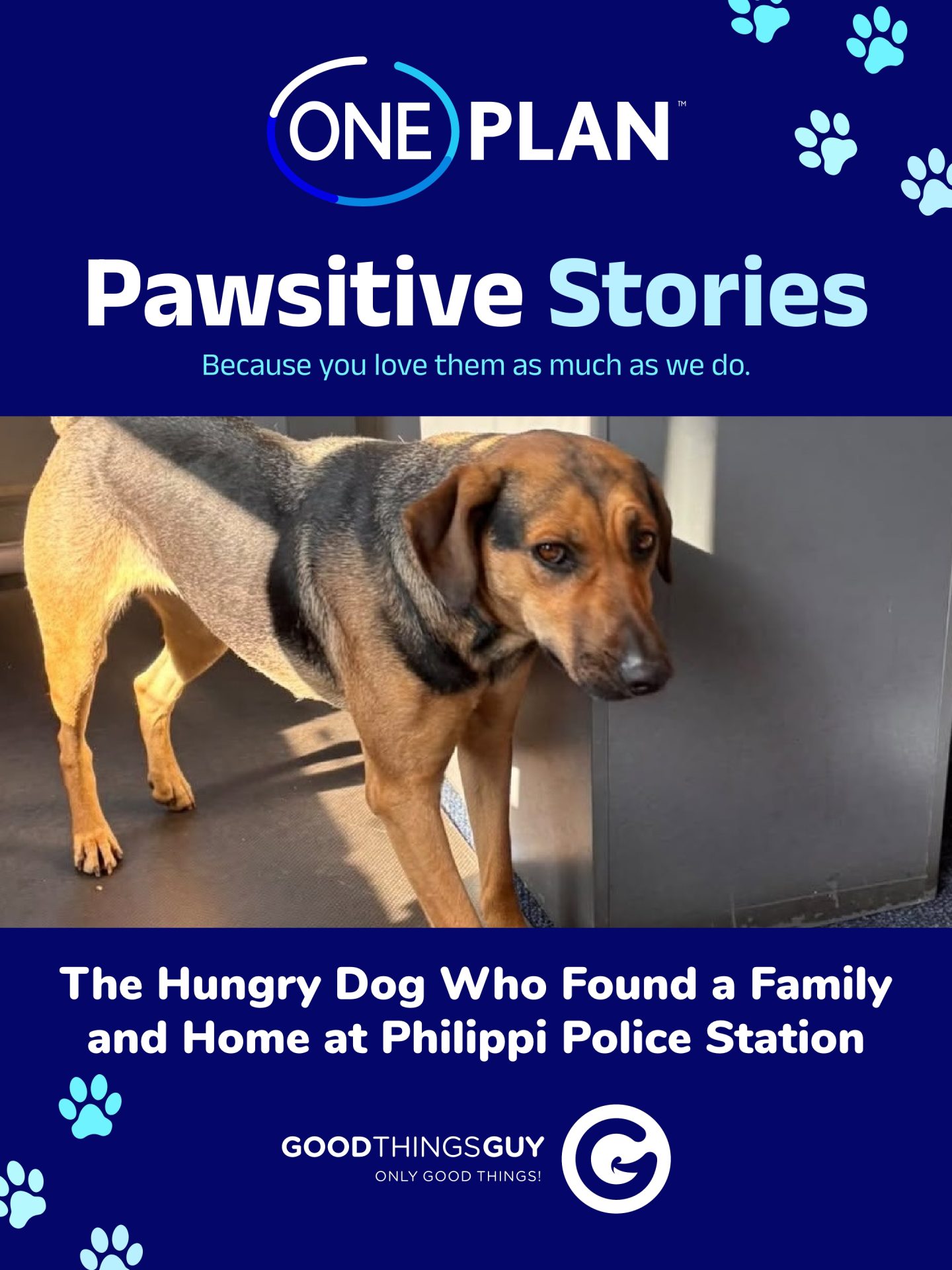 Running on Empty? These Good News Stories Might Fill Your Cup!
