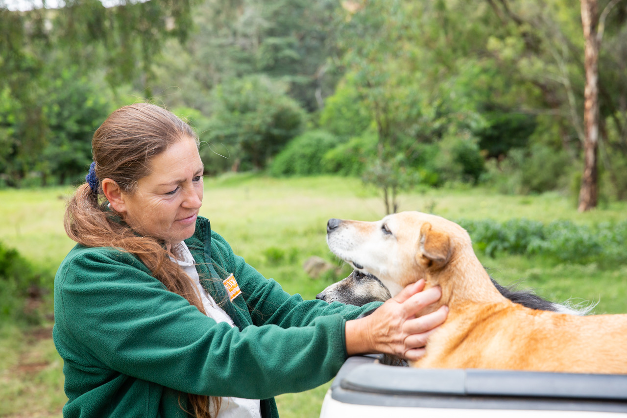 Animal Welfare