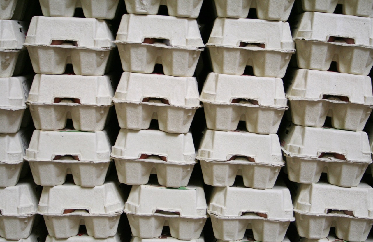 Recycling