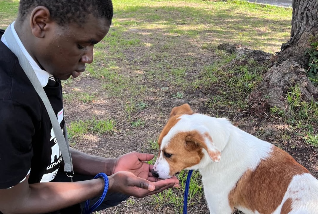 Helping a Shelter Dog