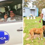 SPCA