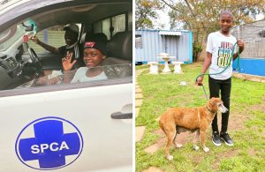 SPCA