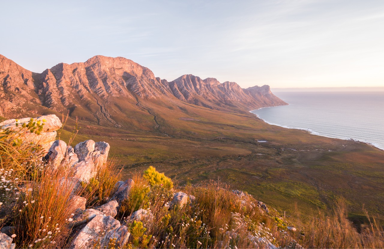 Western Cape