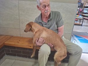 Dog