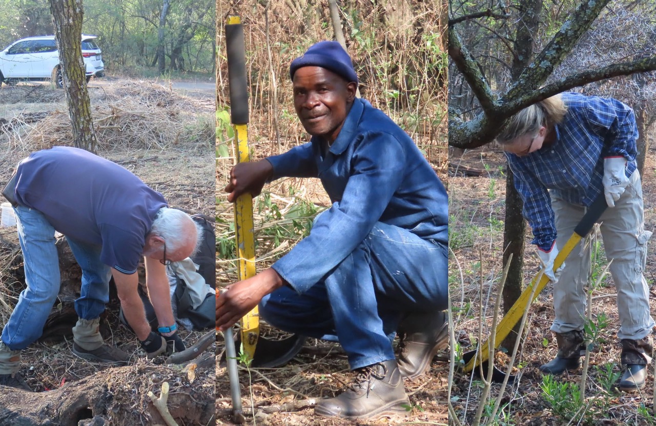 Moreleta Kloof Nature Reserve