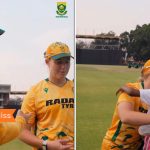 Proteas