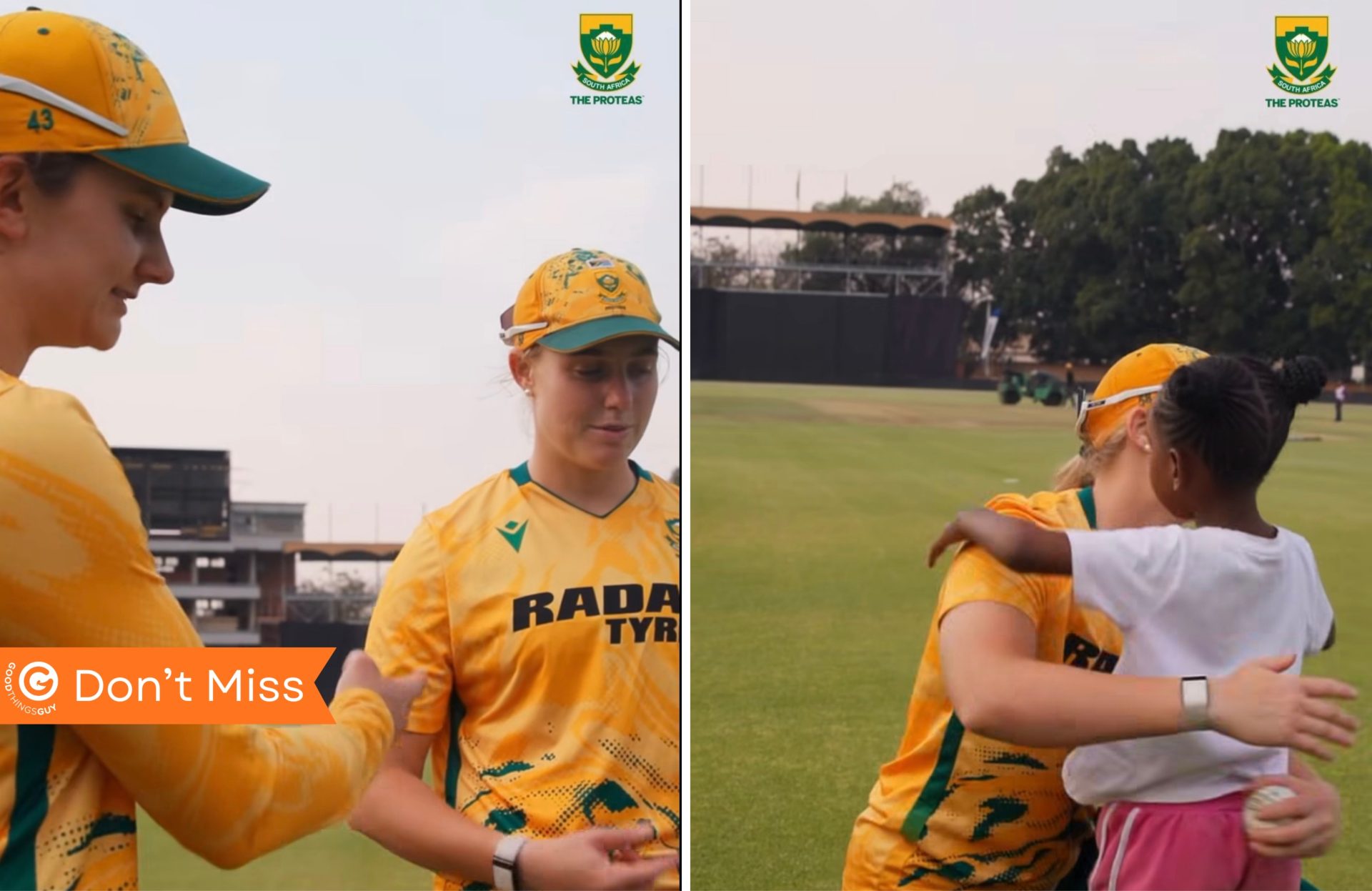Proteas