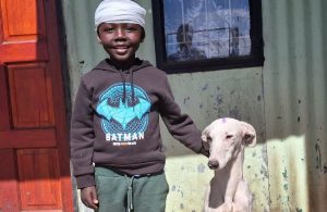 Animal welfare