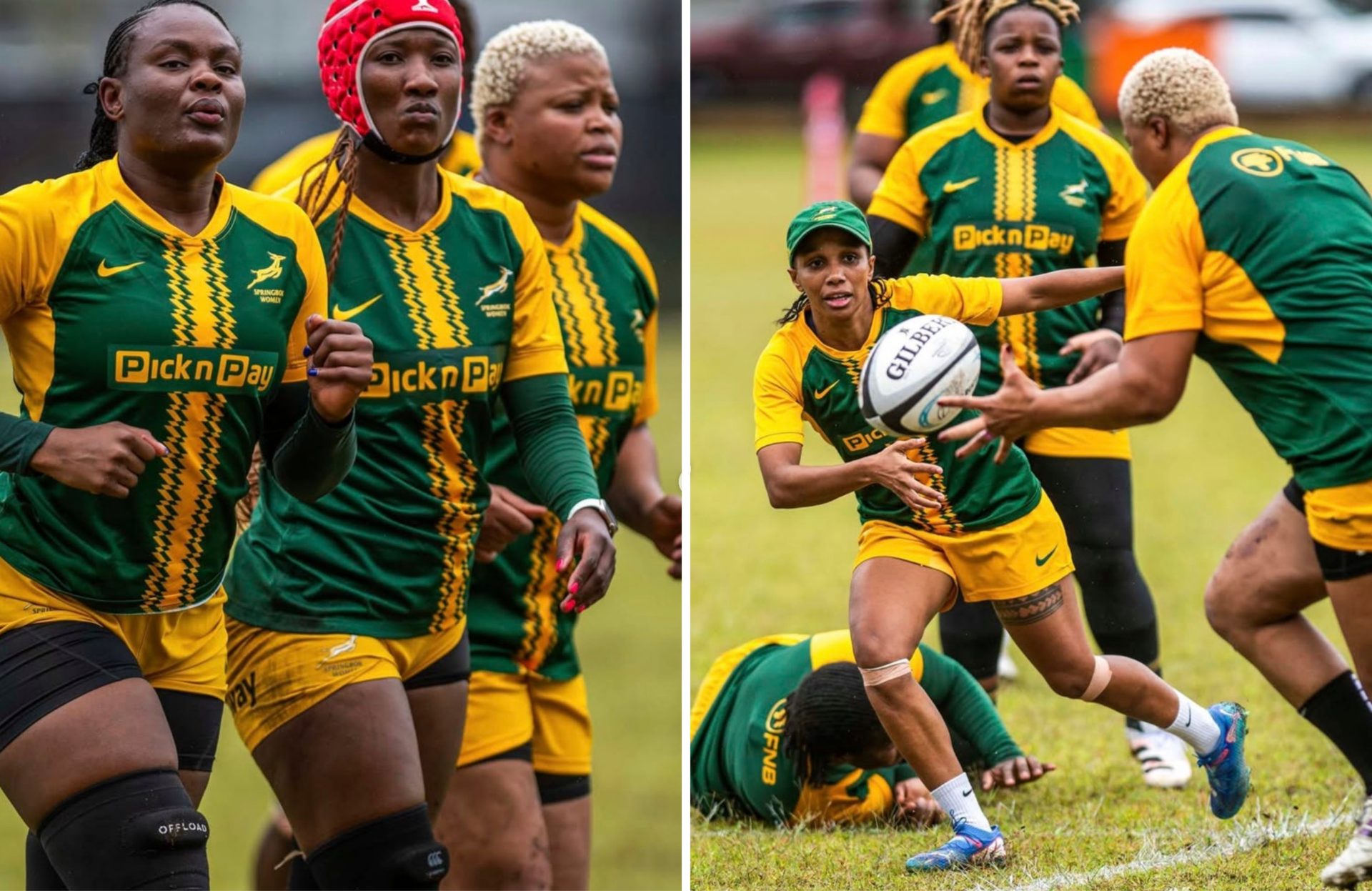 Springbok Women Black Ferns