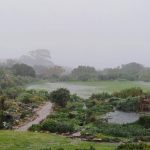 Noordhoek
