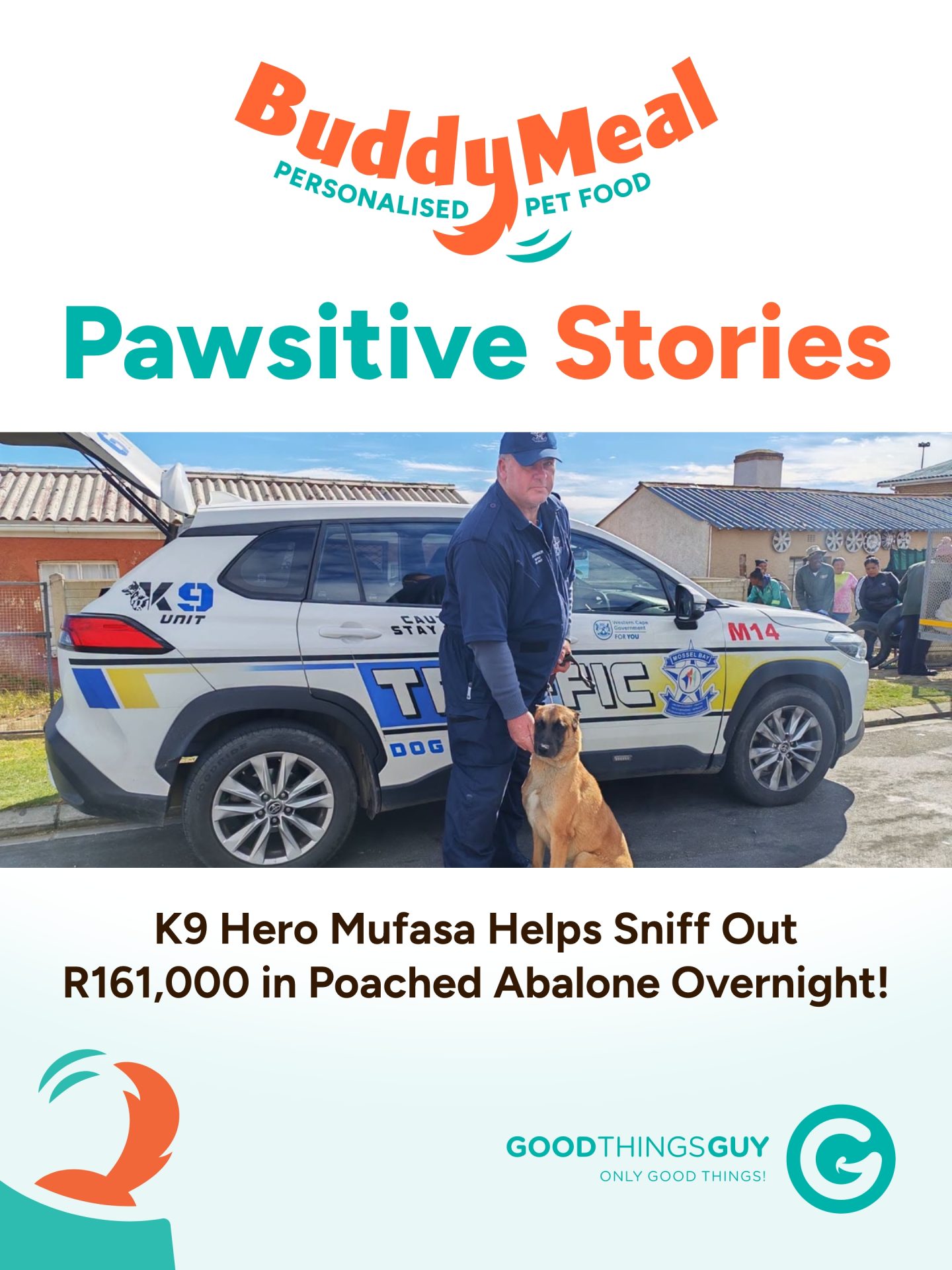 Saturday Good News: Wedding Bells, Wagging Tails and a Whole Lot of South African Heart!