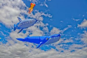 Cape Town International Kite Festival
