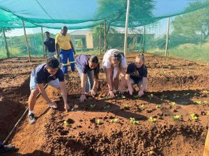 Litres of Fertiliser